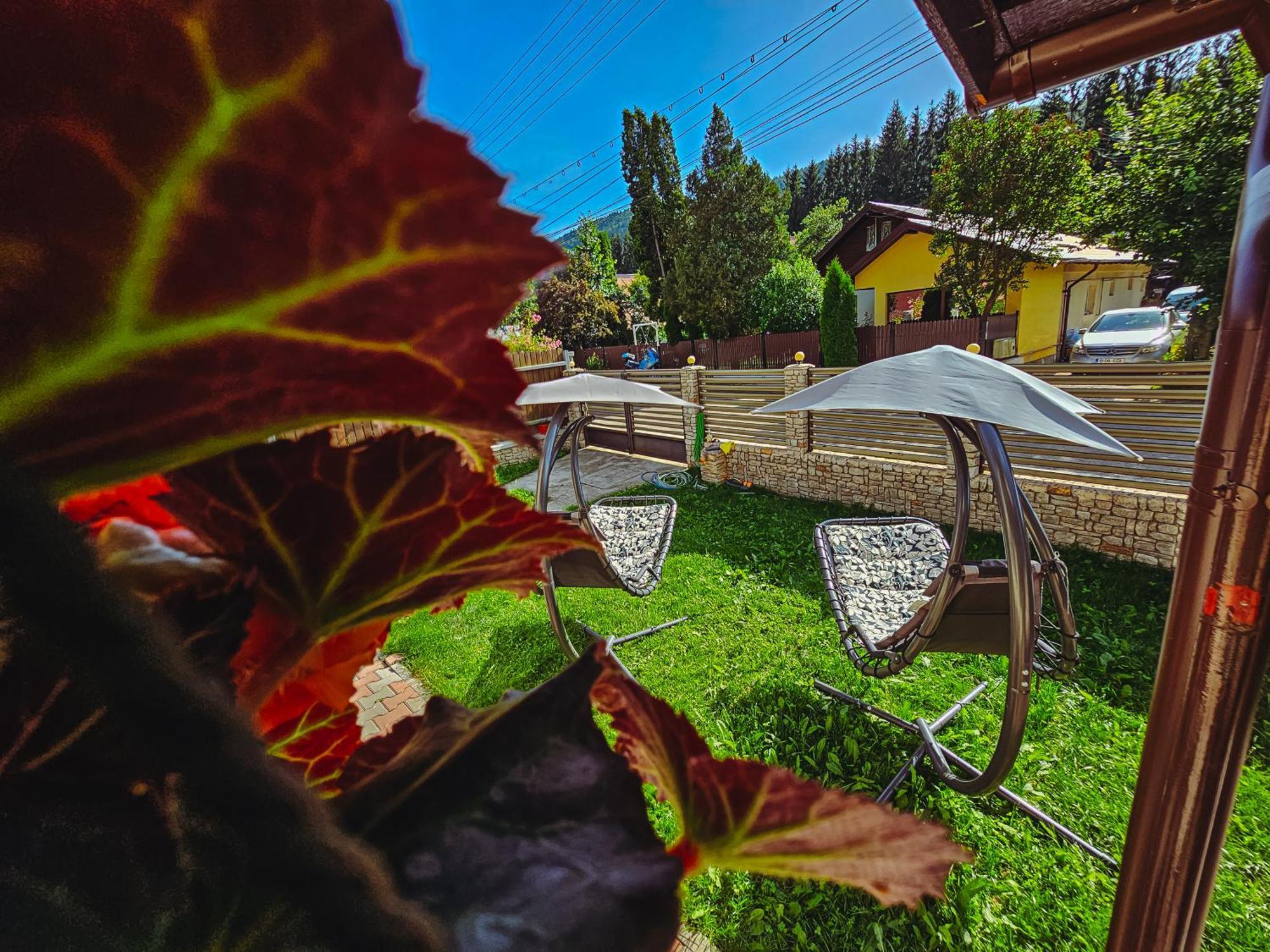 Alpine Bliss Sinaia Hotel Ngoại thất bức ảnh